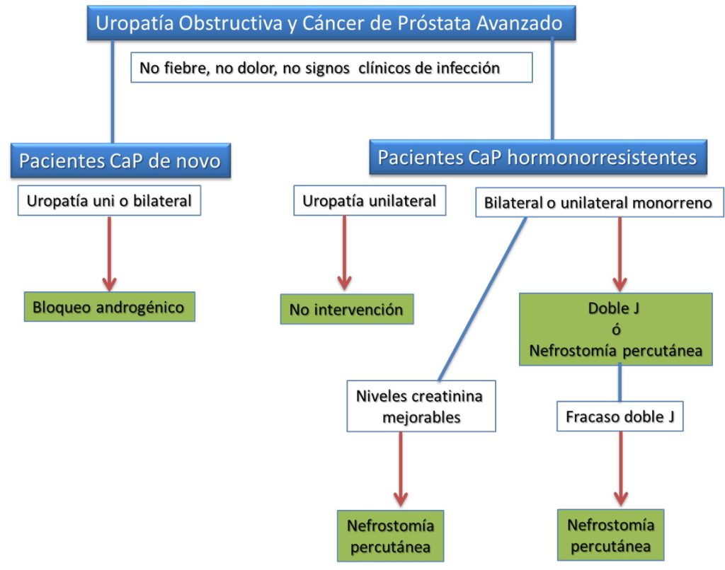 Figura 1. Algoritmo de tratamiento de la uropatía obstructiva no complicada en el cáncer de próstata avanzado.
